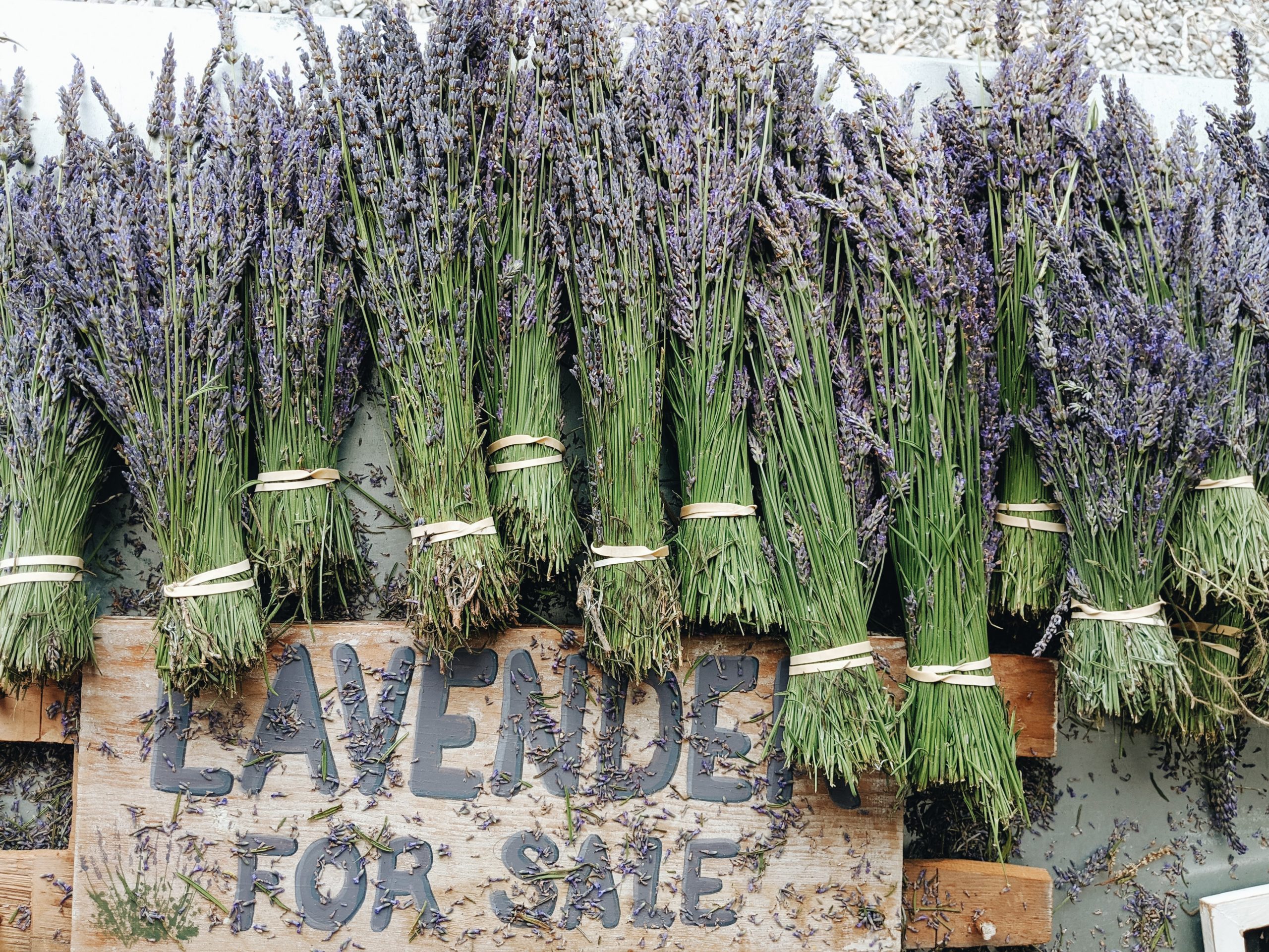 bunches of lavender in a market